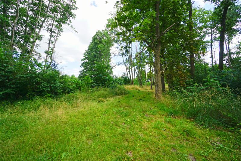 370 0 12432658 0 48 - Strona gł&oacute;wna