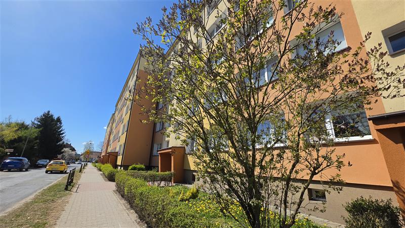 370 0 12439807 13 127 - Lista ofert