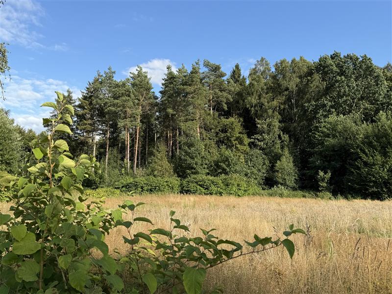 370 0 12512128 0 61 - Strona gł&oacute;wna