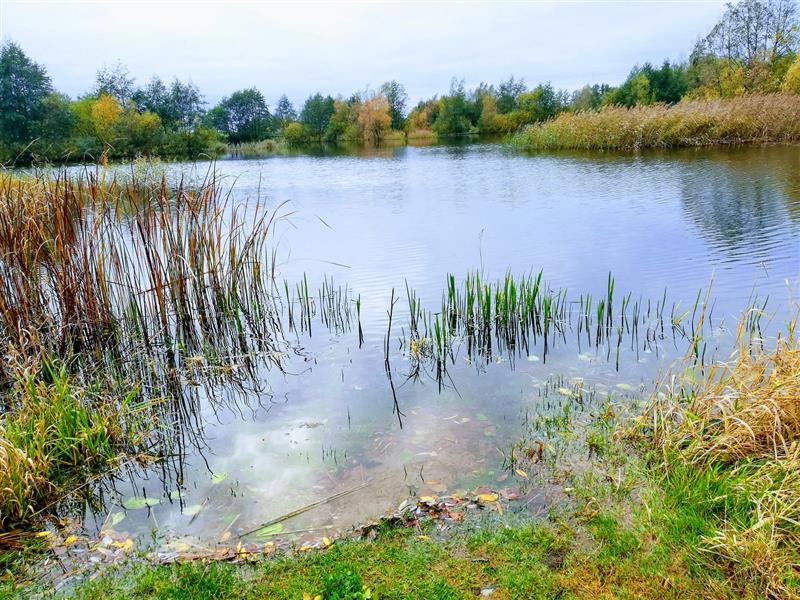 440 0 10754322 3 20 - Lista ofert