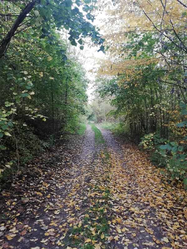 440 0 10754323 2 20 - Lista ofert