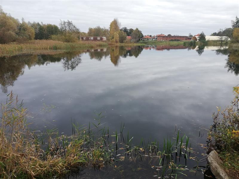 440 0 10754325 2 20 - Lista ofert