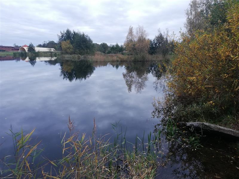 440 0 10754326 2 20 - Lista ofert