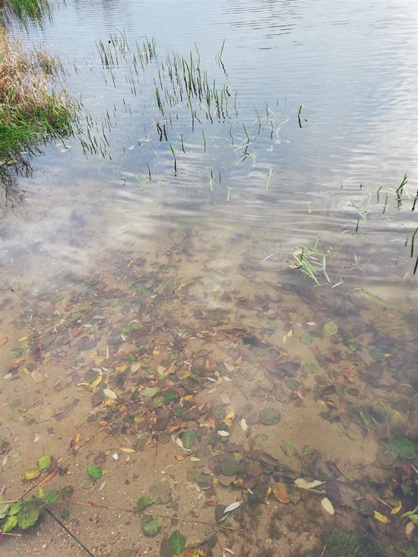 440 0 10754327 2 20 - Lista ofert