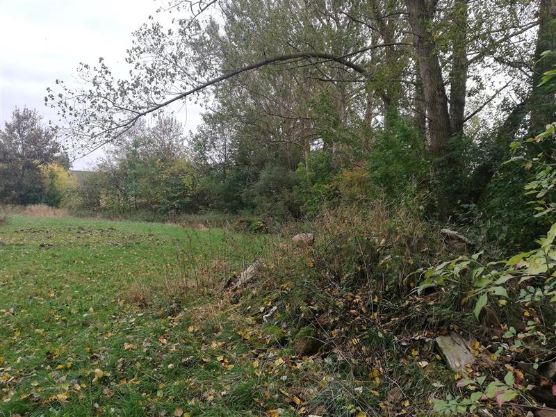 440 0 11441622 3 20 - Lista ofert