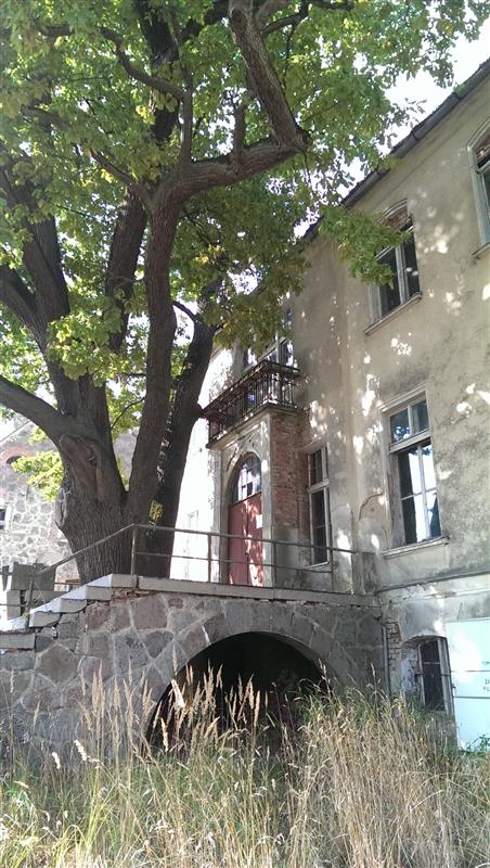 440 0 11754504 0 15 - Lista ofert