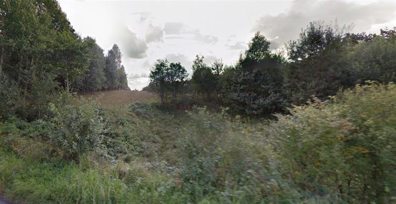 440 0 11916501 0 7 - Lista ofert