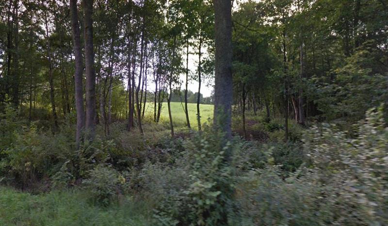 440 0 11916502 0 7 - Lista ofert