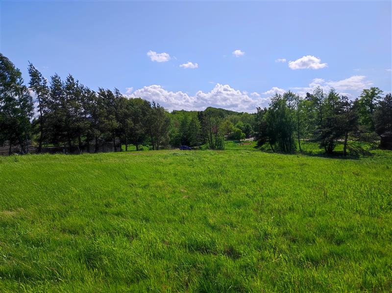 440 0 11997122 0 16 - Lista ofert