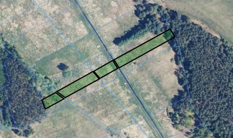 440 0 12007554 3 12 - Lista ofert