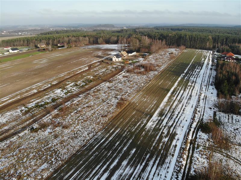 440 0 12148141 0 32 - Lista ofert