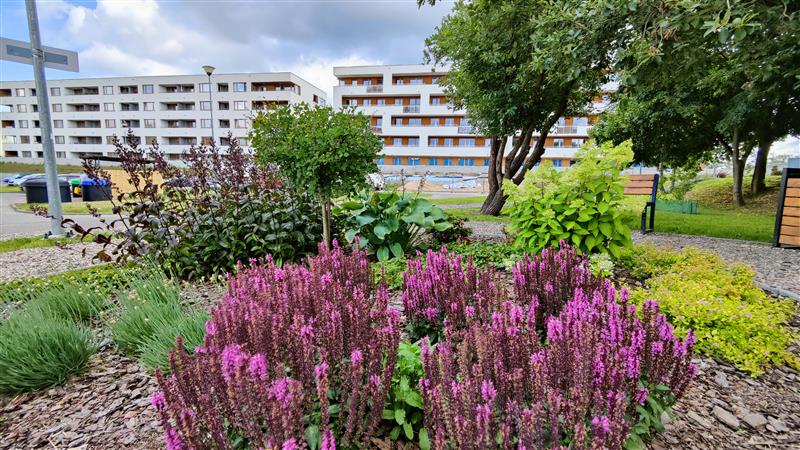 440 0 12157437 0 82 - Lista ofert