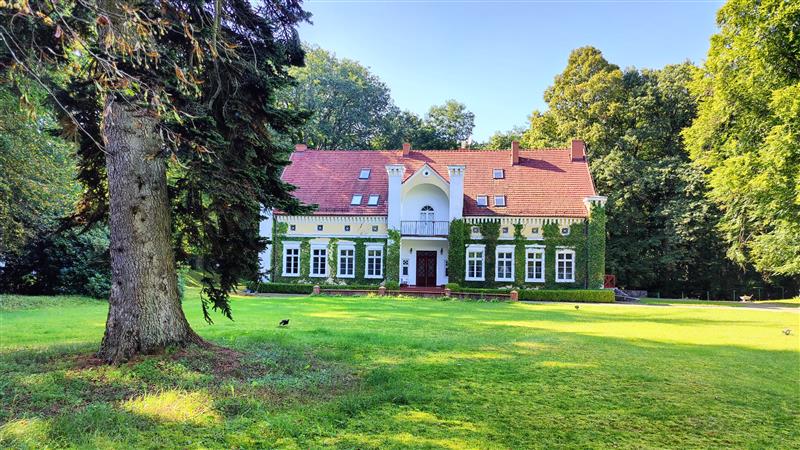 440 0 12216230 4 172 - Lista ofert