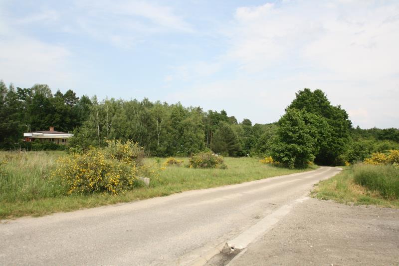 440 0 12216299 6 36 - Lista ofert