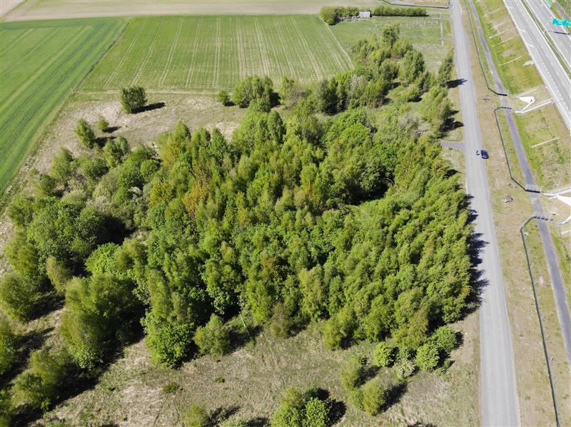 440 0 12218900 0 7 - Lista ofert