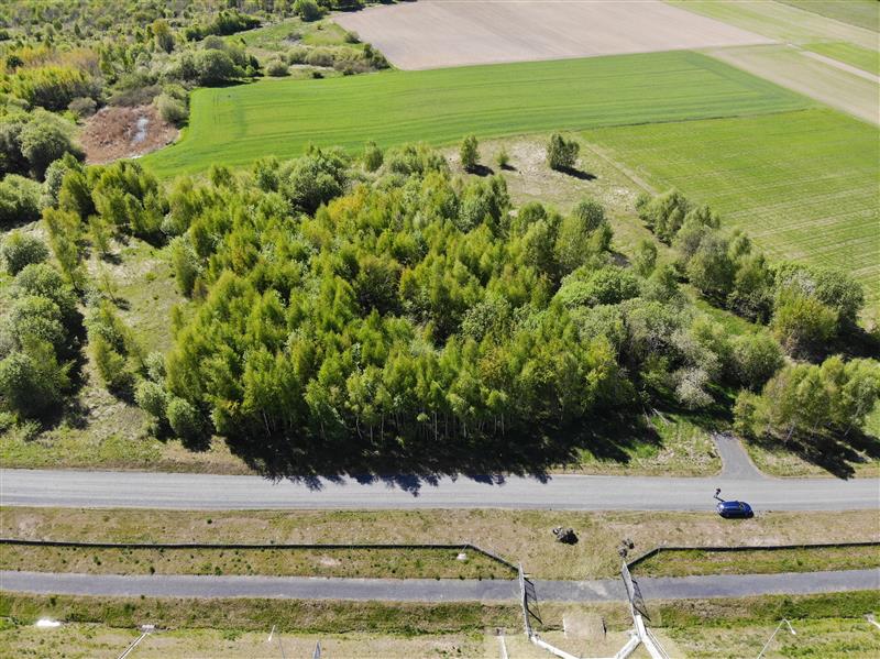 440 0 12218902 0 7 - Lista ofert