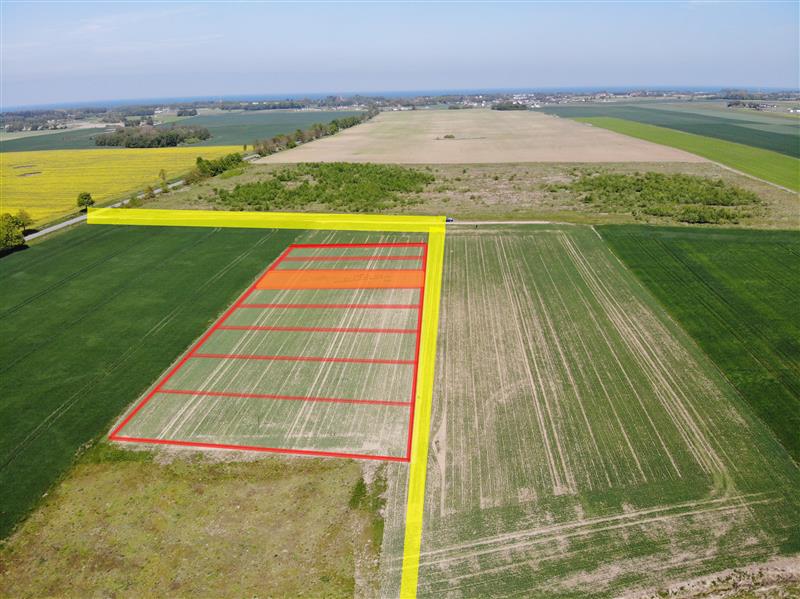 440 0 12231686 1 24 - Lista ofert