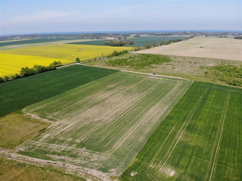 440 0 12231688 2 31 - Lista ofert