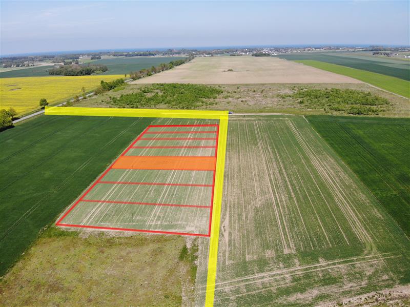 440 0 12231698 1 38 - Lista ofert