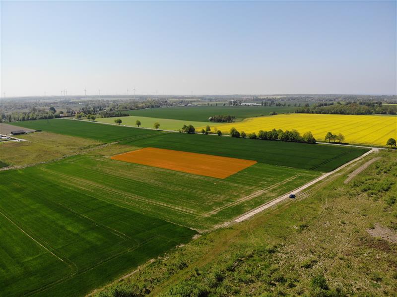 440 0 12231713 2 59 - Lista ofert