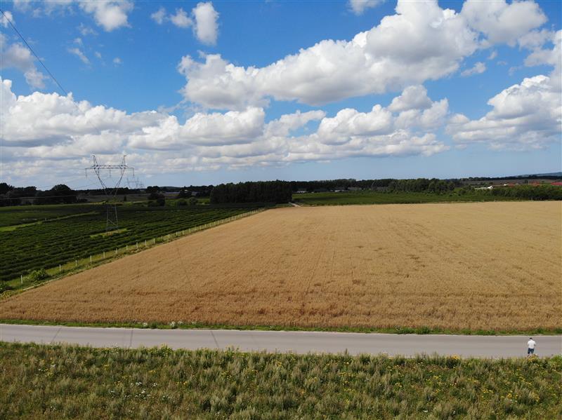 440 0 12274108 1 56 - Lista ofert