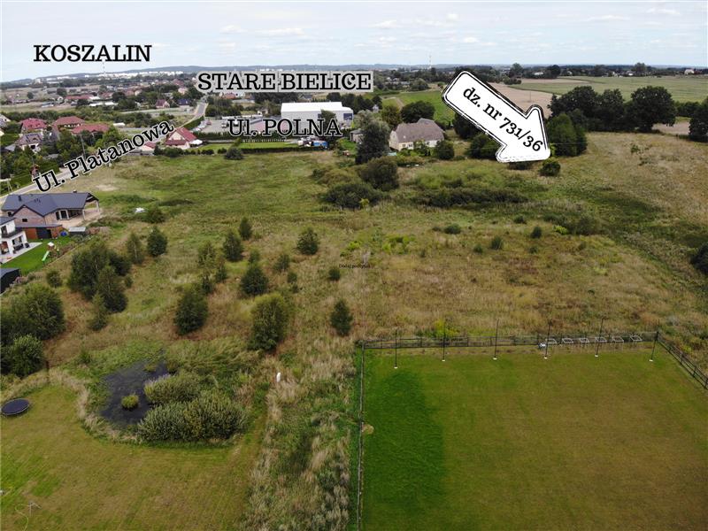 440 0 12281388 2 56 - Lista ofert