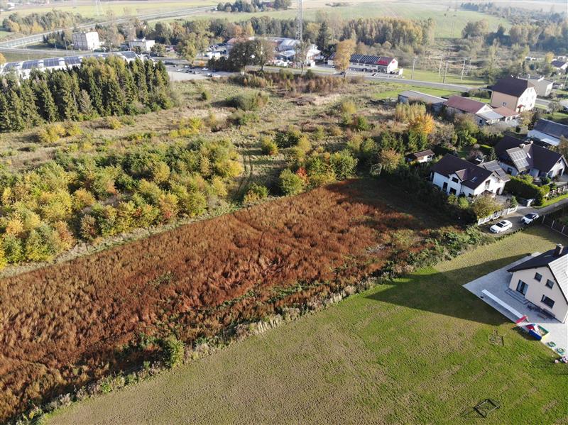 440 0 12334528 0 7 - Lista ofert