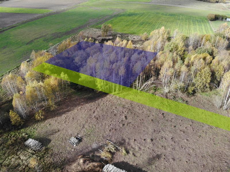 440 0 12350627 0 59 - Strona główna