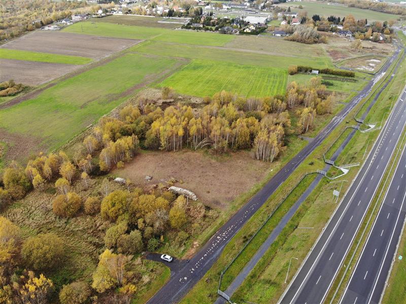 440 0 12350629 0 59 - Strona główna