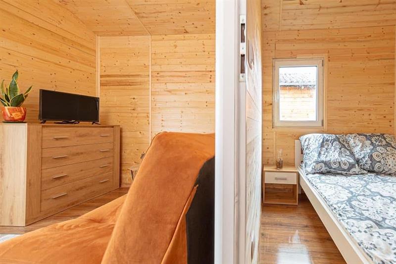 440 0 12416086 1 34 - Strona gł&oacute;wna