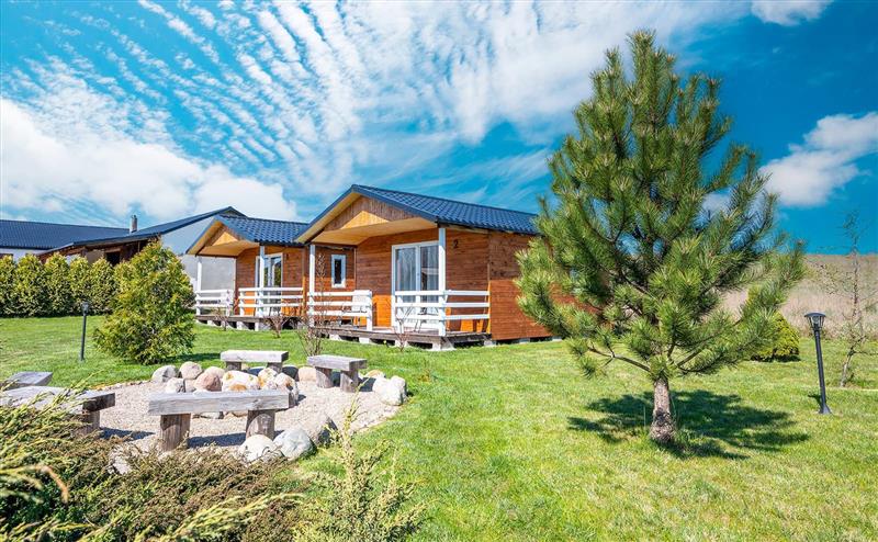 440 0 12416087 1 34 - Strona gł&oacute;wna