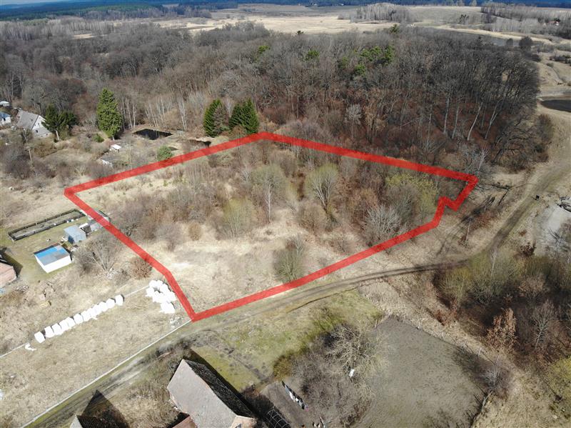 440 0 12422391 2 13 - Strona gł&oacute;wna