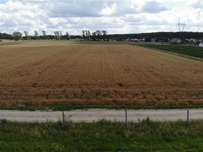 440 0 12440454 0 45 - Strona gł&oacute;wna