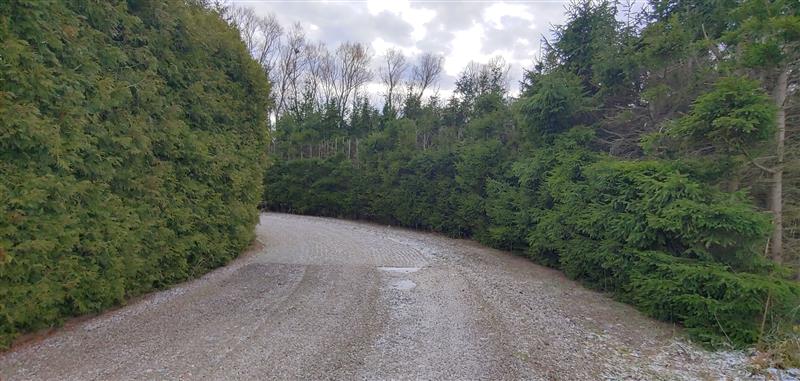 570 0 11897347 0 23 - Lista ofert