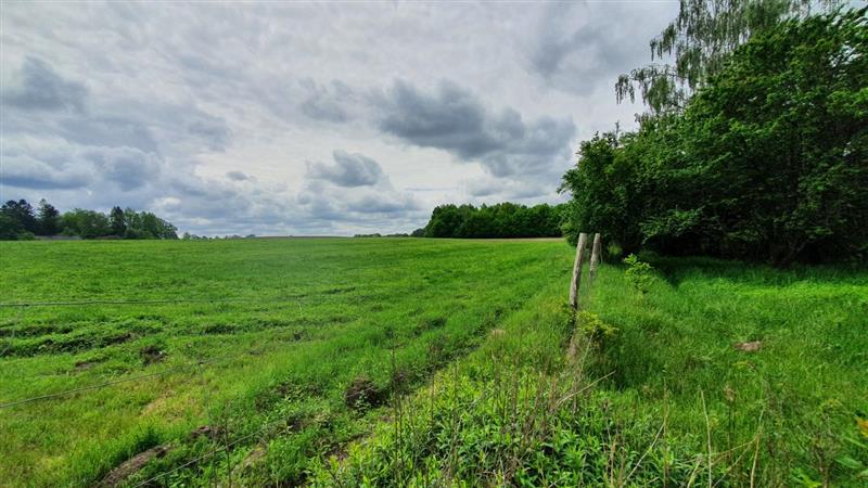 Nieruchomość na sprzedaż Golica 