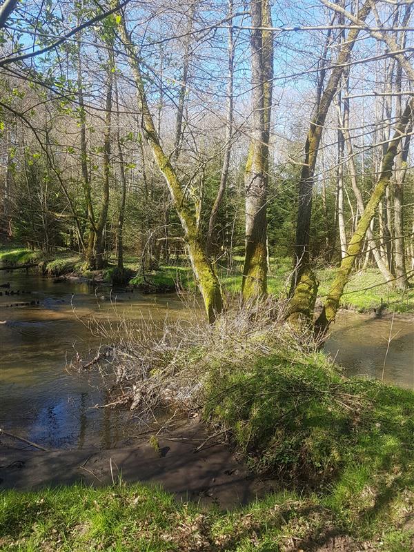 610 0 12339001 3 22 - Lista ofert