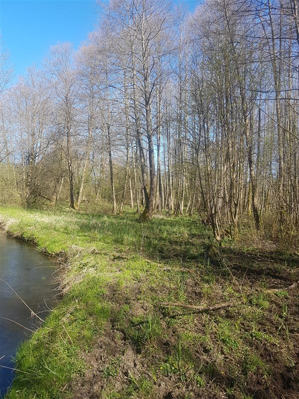 610 0 12339002 3 22 - Lista ofert