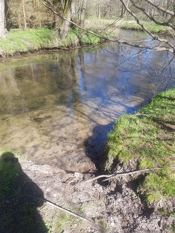 610 0 12339003 3 22 - Lista ofert