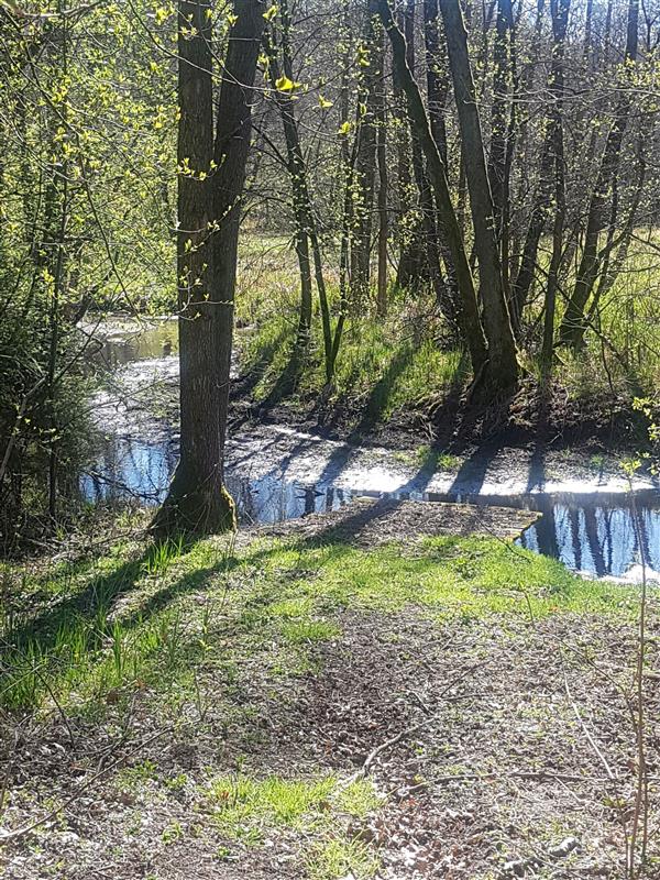 610 0 12339004 3 22 - Lista ofert