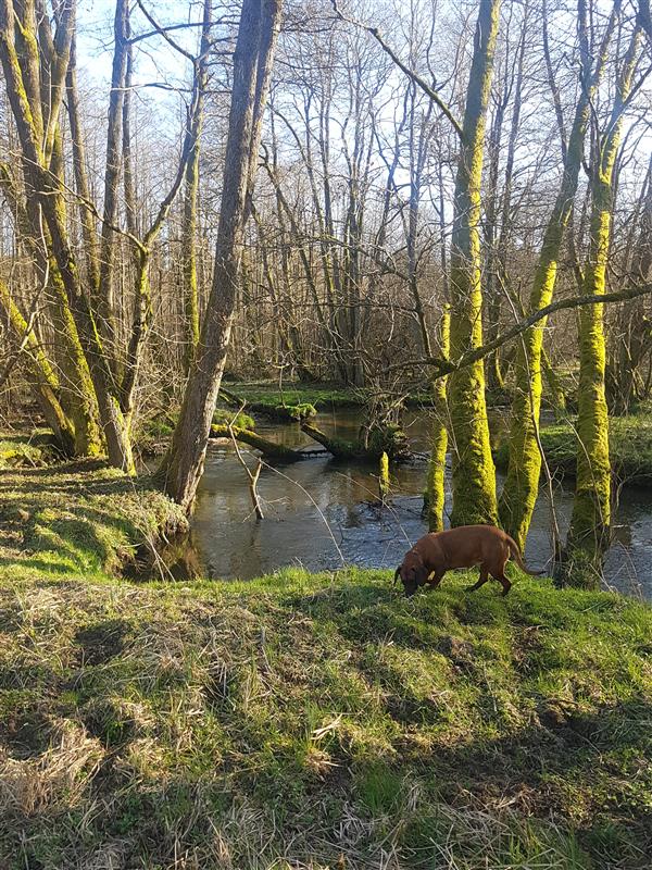 610 0 12339005 3 22 - Lista ofert