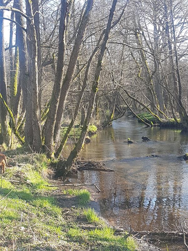 610 0 12339006 3 22 - Lista ofert