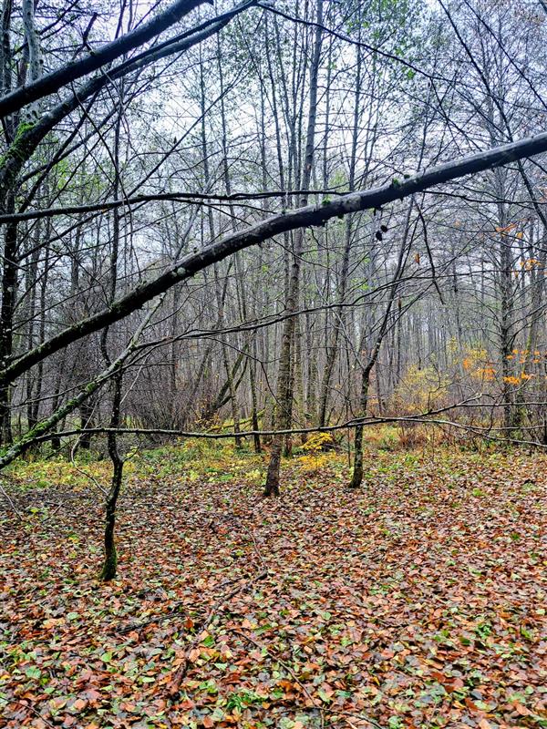 610 0 12339007 3 22 - Lista ofert