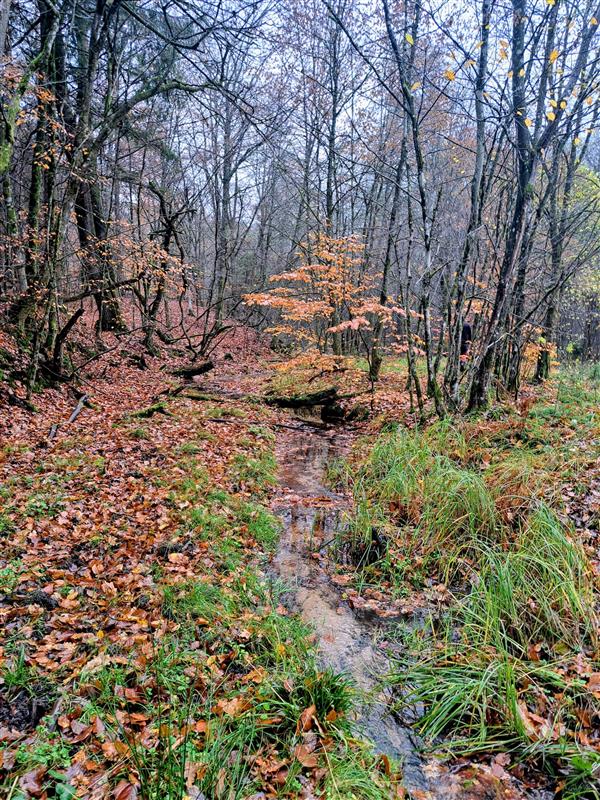 610 0 12339008 3 22 - Lista ofert