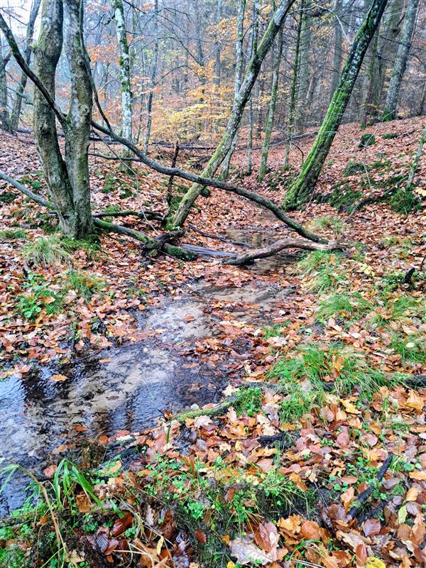 610 0 12339009 3 22 - Lista ofert