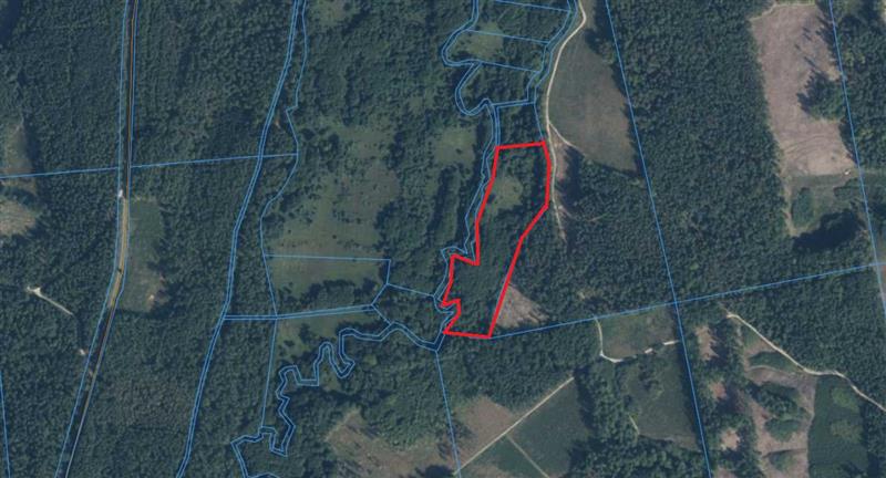 610 0 12339126 3 22 - Lista ofert