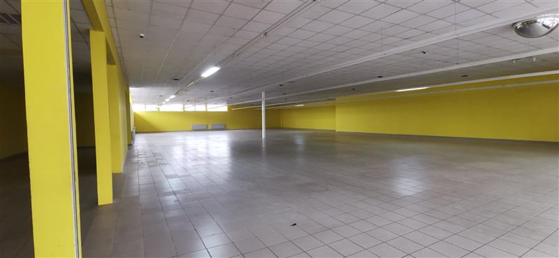 610 0 12354656 2 70 - Lista ofert