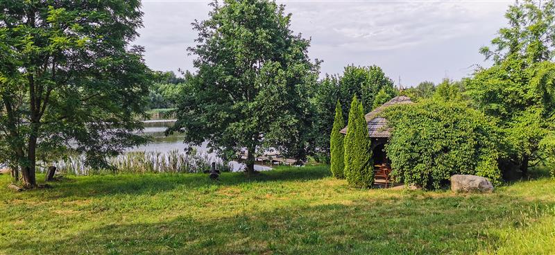 620 0 11359228 0 8 - Lista ofert