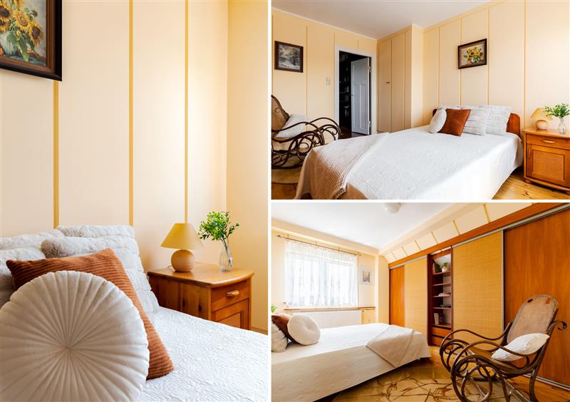 620 0 11954390 6 71 - Lista ofert