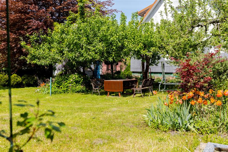 620 0 11954397 1 71 - Lista ofert