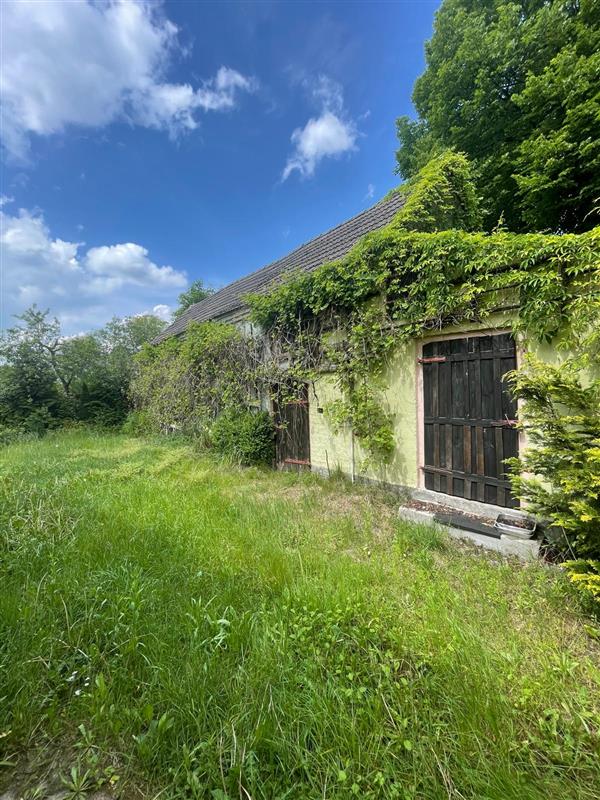 620 0 11965476 2 151 - Lista ofert